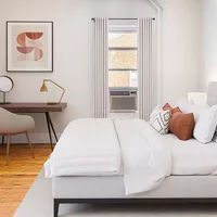 Coliving in University Heights - NE DC, Washington DC