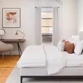 Coliving in University Heights - NE DC, Washington DC