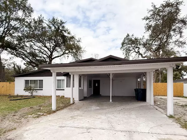 Coliving in Forest Hills Tampa - North Tampa, Tampa