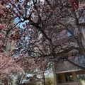 2 bedrooms apartment for rent in Marmalade - Central SLC, Salt Lake City