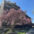2 bedrooms apartment for rent in Marmalade - Central SLC, Salt Lake City