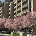 2 bedrooms apartment for rent in Marmalade - Central SLC, Salt Lake City