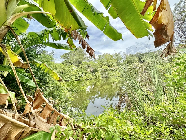 Coliving in Odessa - North Tampa, Tampa