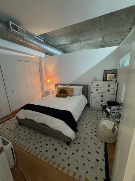 1 bedroom apartment for rent in River West - Central, Chicago