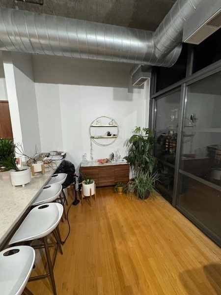 1 bedroom apartment for rent in River West - Central, Chicago