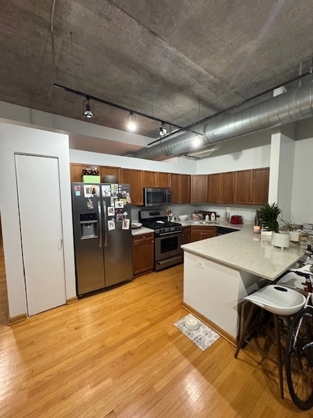1 bedroom apartment for rent in River West - Central, Chicago