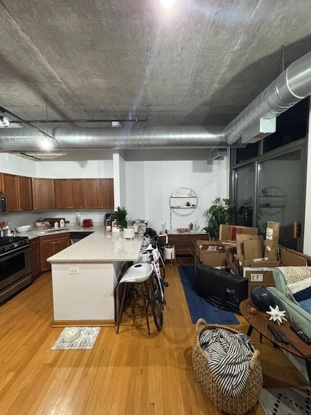 1 bedroom apartment for rent in River West - Central, Chicago