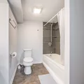Coliving in West Town - West Side, Chicago