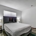 Coliving in Land O' Lakes - North Tampa, Tampa