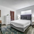 Coliving in Land O' Lakes - North Tampa, Tampa