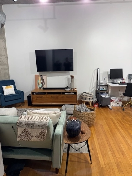 1 bedroom apartment for rent in River West - Central, Chicago