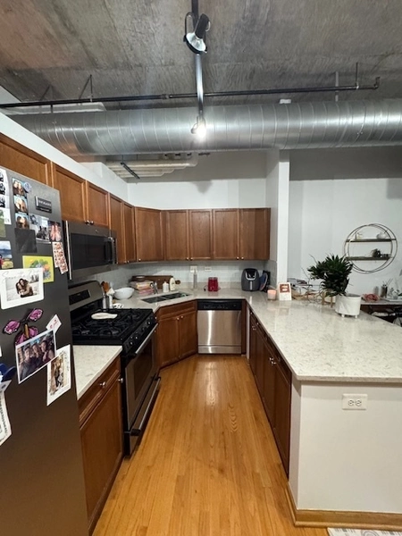 1 bedroom apartment for rent in River West - Central, Chicago