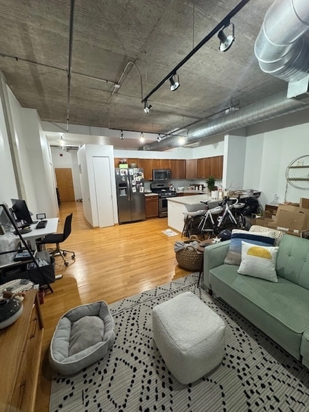 1 bedroom apartment for rent in River West - Central, Chicago