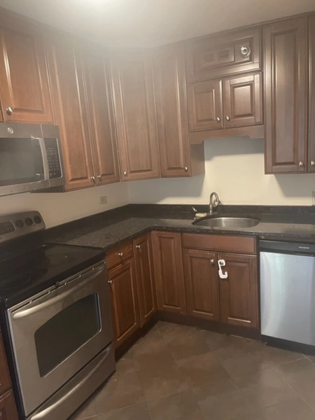 1 bedroom apartment for rent in River North - Central, Chicago