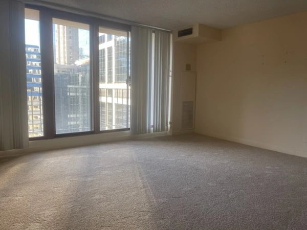 1 bedroom apartment for rent in River North - Central, Chicago