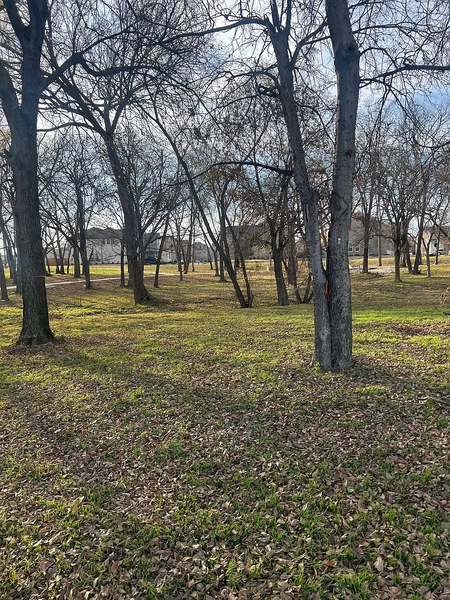 Coliving in North Richland Hills - Forth Worth, Dallas