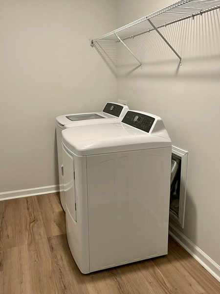 Coliving in Greenville - Central Charlotte, Charlotte