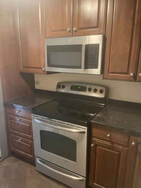 1 bedroom apartment for rent in River North - Central, Chicago