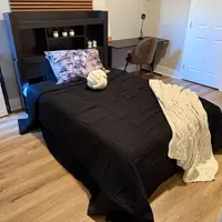 Coliving in Fells Point - Baltimore Metro Area, Washington DC