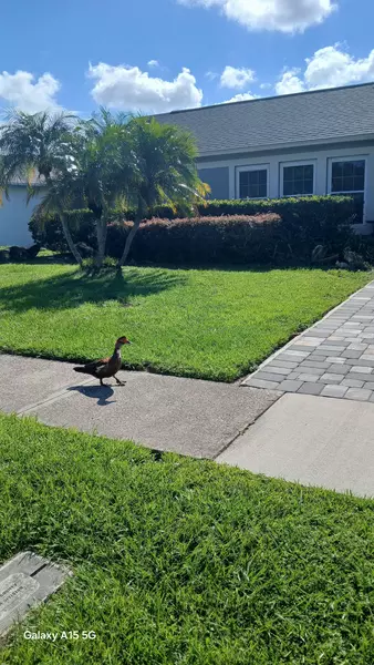 Coliving in Meadow Woods - South Orlando, Orlando