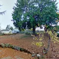 Coliving in Columbia City - SE Seattle, Seattle