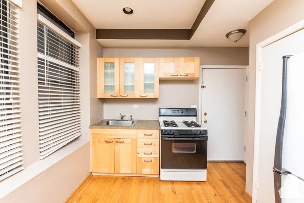 1 bedroom apartment for rent in Wicker Park - Central, Chicago