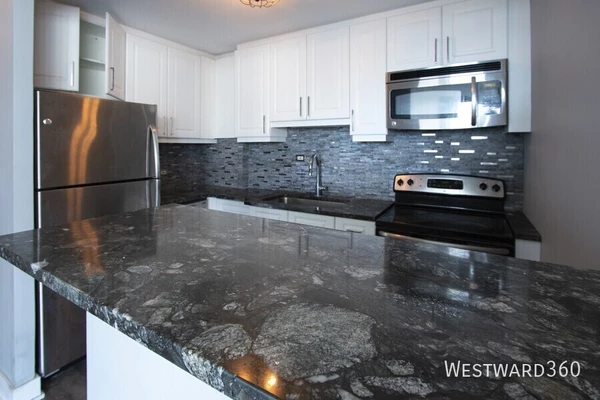 1 bedroom apartment for rent in Gold Coast - Central, Chicago