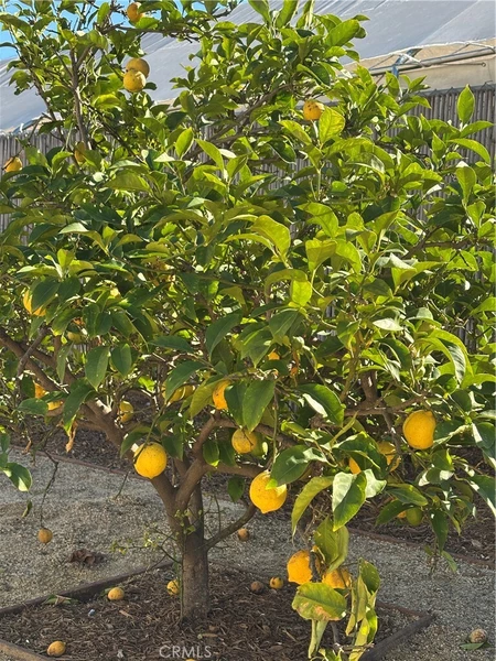 3 bedrooms apartment for rent in Koreatown - Central Los Angeles, Los Angeles