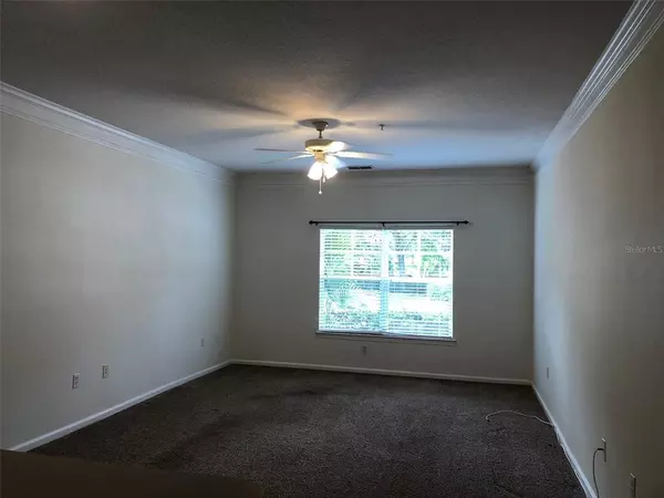 1 bedroom apartment for rent in Bayshore Beautiful - South Tampa, Tampa