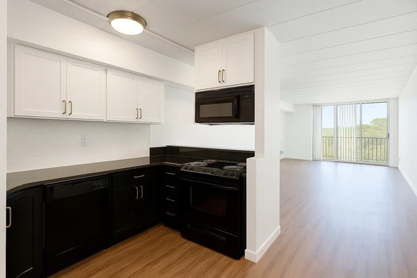 Studio Apartment for rent in Hyde Park Houston - Inner Loop, Houston