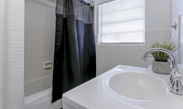 Coliving in Sulphur Springs - North Tampa, Tampa