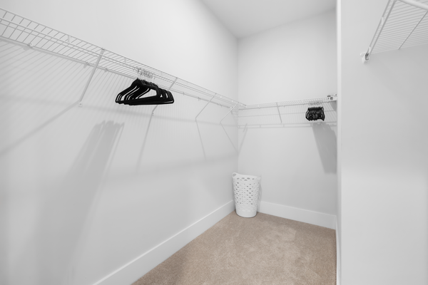 Coliving in Mallard Creek - Withrow Downs - North Charlotte, Charlotte