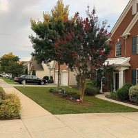 Co-living en Mallard Creek - Withrow Downs - North Charlotte, Charlotte