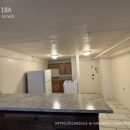 1 bedroom apartment for rent in Cheesman - Center Denver, Denver