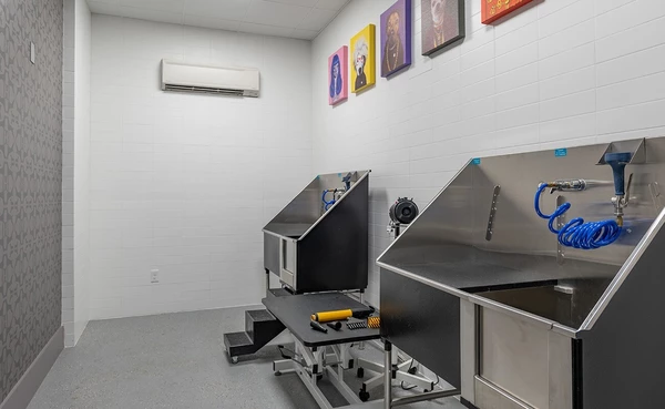 1 bedroom apartment for rent in River Oaks - Inner Loop, Houston