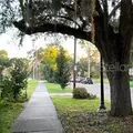 1 bedroom apartment for rent in Thornton Park - Central Orlando, Orlando
