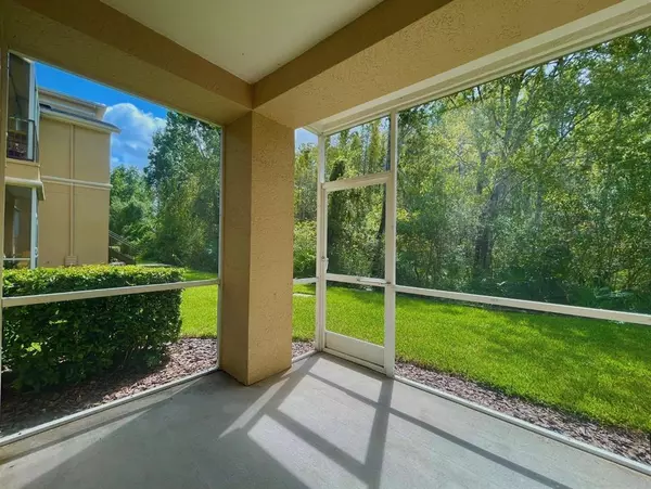 1 bedroom apartment for rent in University - North Tampa, Tampa