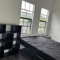 Coliving in Ybor City - Central Tampa, Tampa