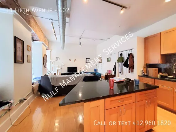 1 bedroom apartment for rent in Downtown Pittsburgh - Central Pitt, Pittsburgh