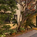 1 bedroom apartment for rent in Los Feliz - Central Los Angeles, Los Angeles