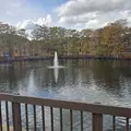 3 bedrooms apartment for rent in Conway - South Orlando, Orlando
