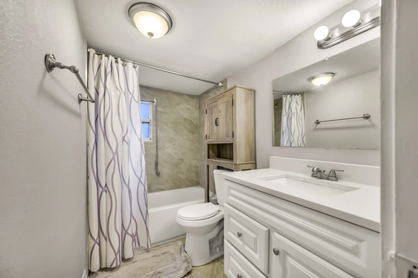 Coliving in Jungle Terrace - Clearwater-St. Petersburg, Tampa