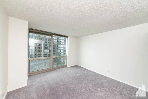 2 bedrooms apartment for rent in Streeterville - Central, Chicago
