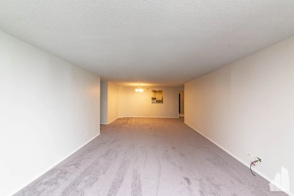 2 bedrooms apartment for rent in Streeterville - Central, Chicago