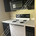 1 bedroom apartment for rent in North Central - North SATX, San Antonio