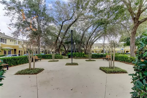 2 bedrooms apartment for rent in Carrollwood - North Tampa, Tampa