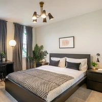 Co-living en Pleasant Plains - NE DC, Washington DC