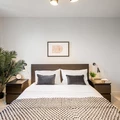 Coliving in Pleasant Plains - NE DC, Washington DC