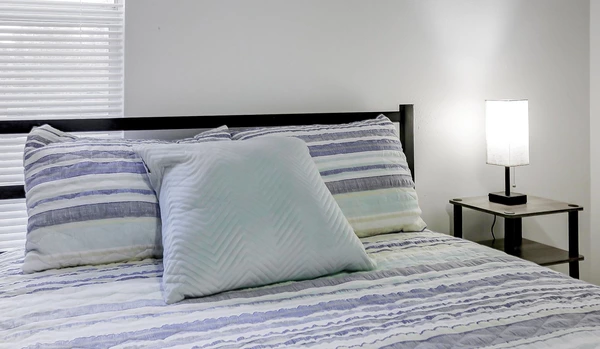 Coliving in University Square - North Tampa, Tampa