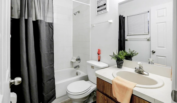 Coliving in University Square - North Tampa, Tampa